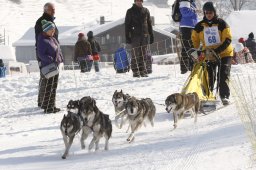 Lenk 2012 SM